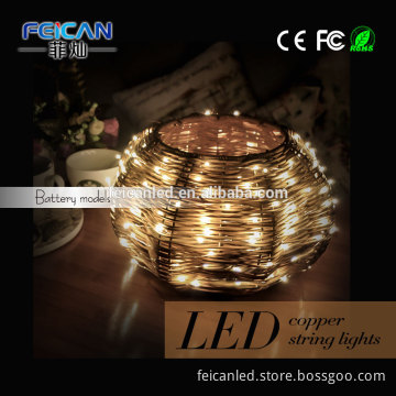 Christmas Holiday Name and 5V Voltage led string copper light
